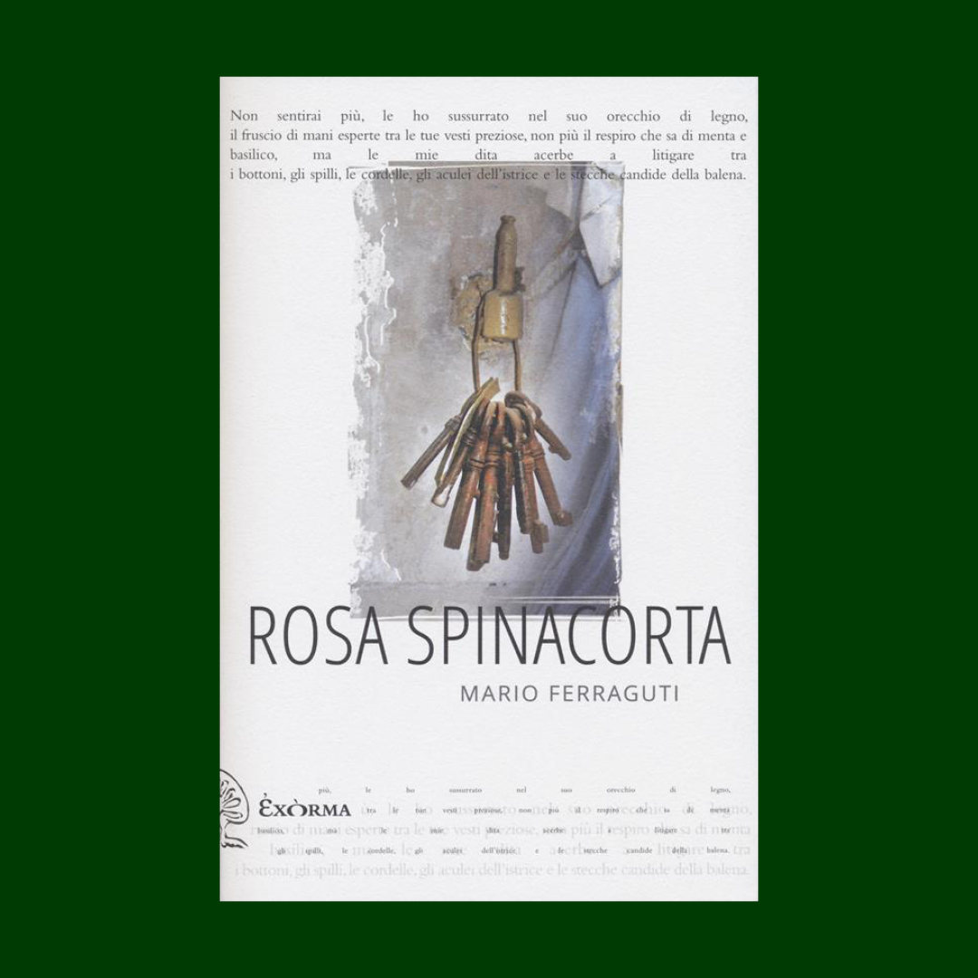 Rosa spinacorta