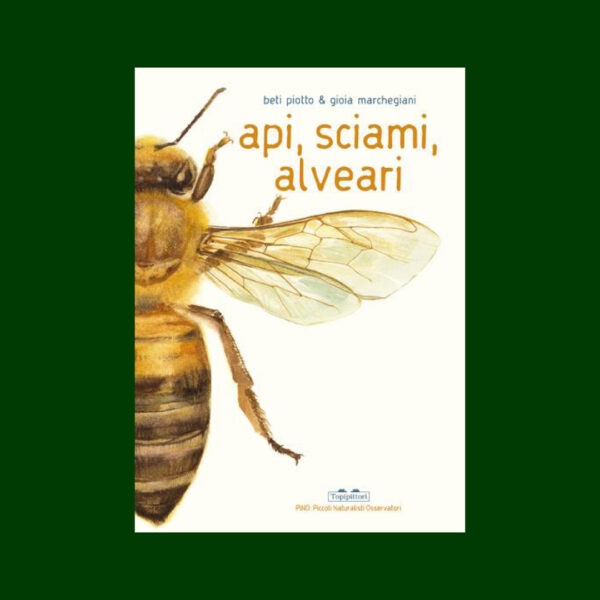 Api, sciami, alveari