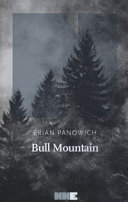 Bull mountain