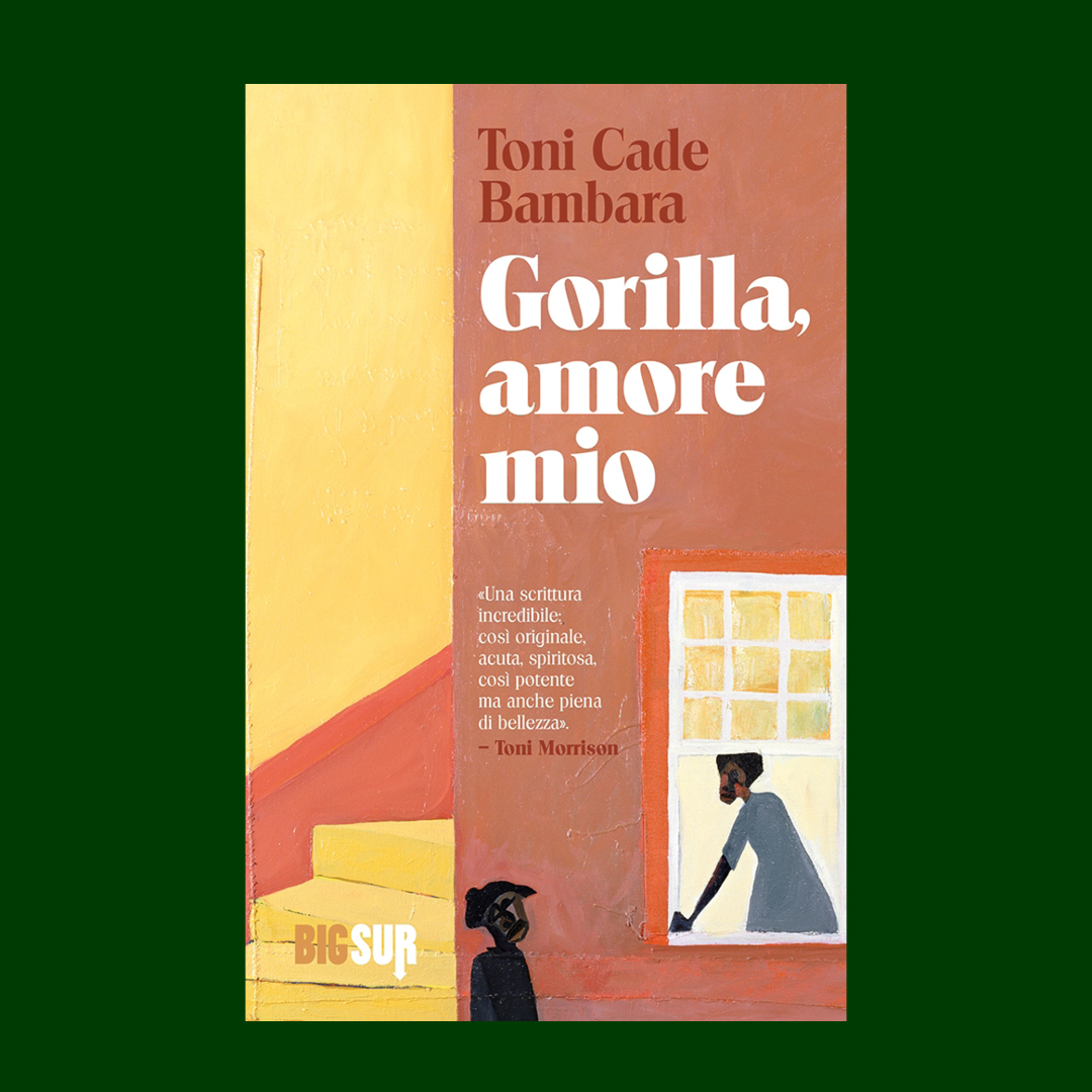 Gorilla, amore mio