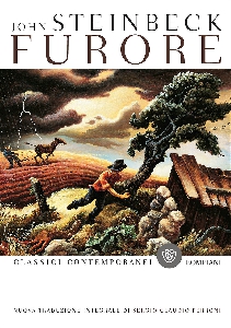 Furore